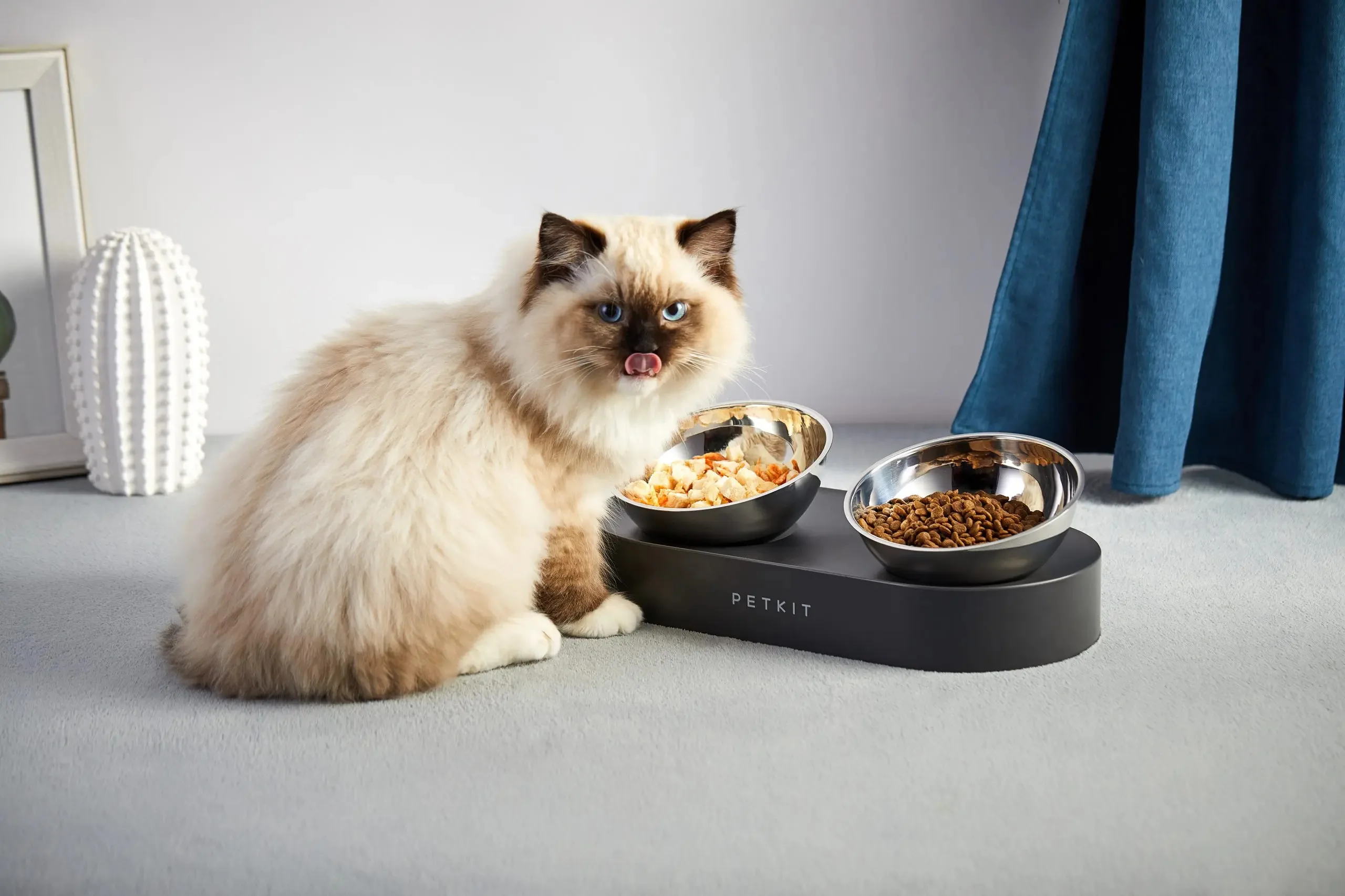 Petkit Fresh Nano Metal Adjustable Double Bowls